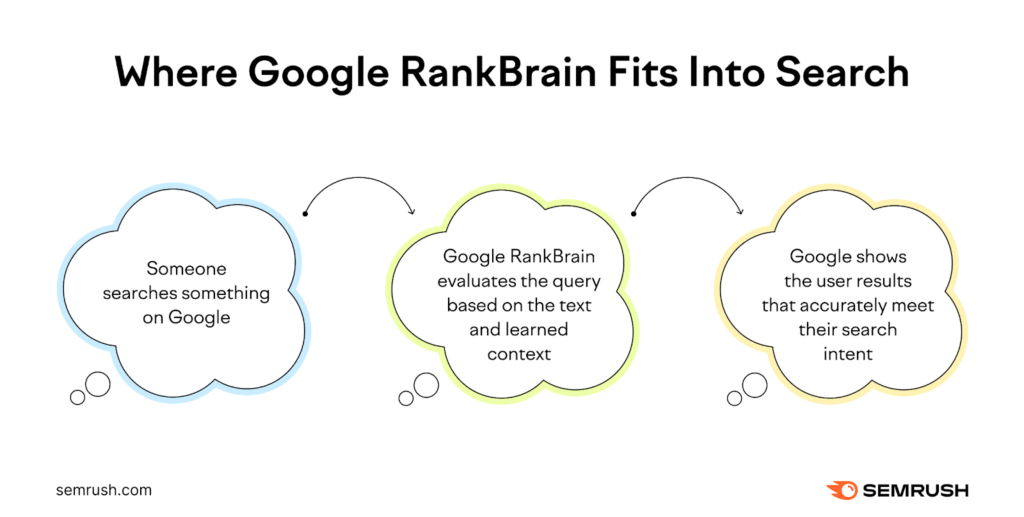 Rakbrain overview (from semrush)